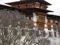 bhutan_156