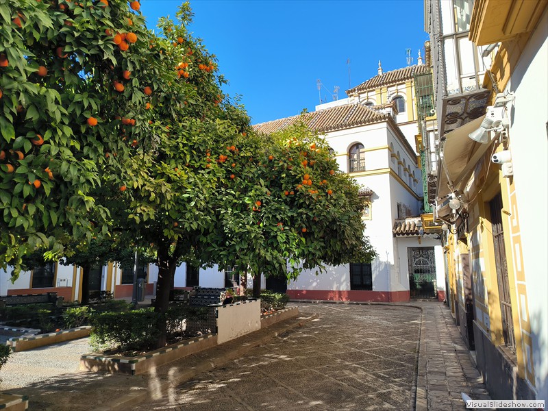 sevilla-007