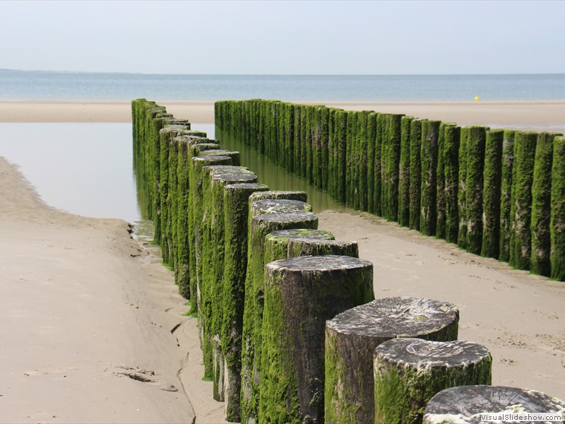 zeeland-36